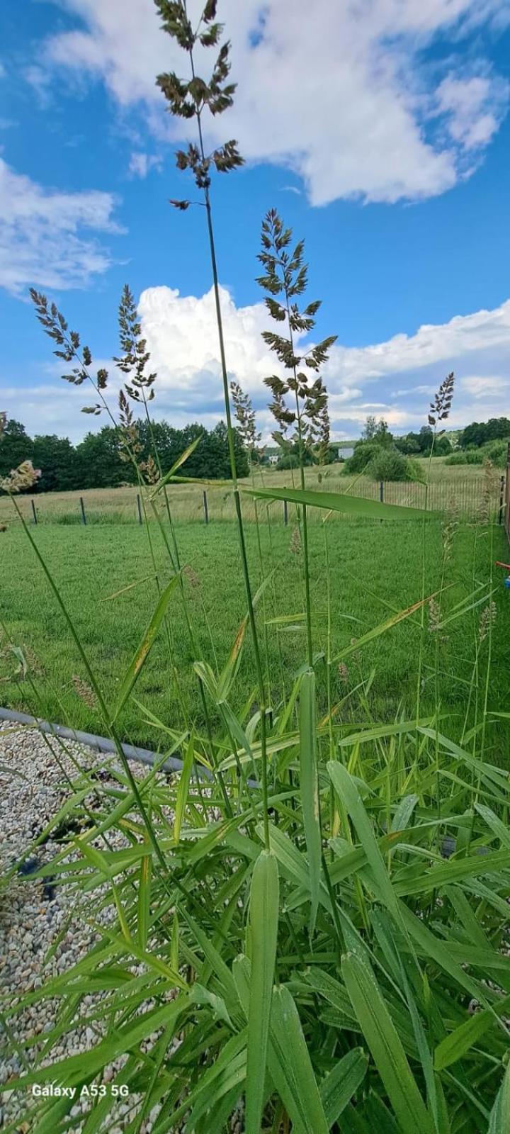 Apartmán Sloneczne Wzgorze Lubrza  Exteriér fotografie